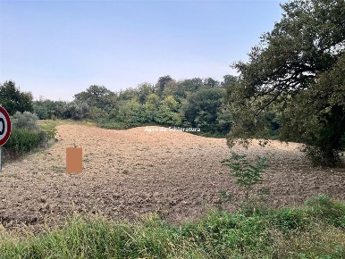 Foto Terreno agricolo a Mombaroccio di 11831 m² in vendita