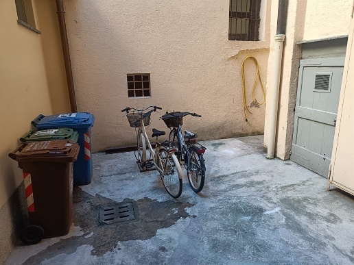 immagine annuncio 11 di 14