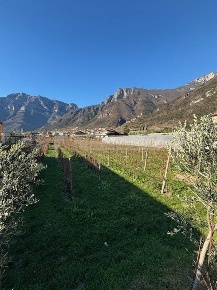 Foto Terreno commerciale a Avio di 4100 m² in vendita