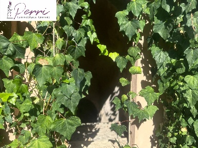 Foto Villa unifamiliare a Roma di 220 m² con 4 locali in vendita