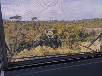 Foto Appartamento in VIA COURMAYEUR, Roma Cortina d'Ampezzo di 21 m²