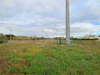 Foto Terreno agricolo in VIA DELL'ARMELLINO, Anzio Rinascimento di 5359 m²