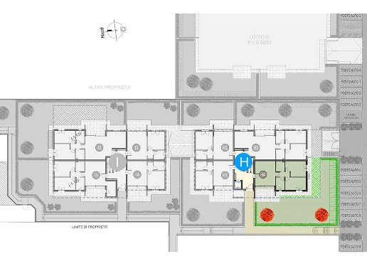 immagine annuncio 11 di 13