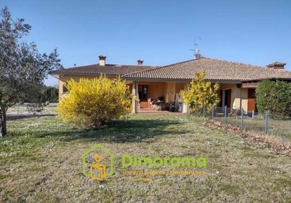 Foto Appartamento in località San Cristoforo Via Michelona 220 220, Cesena