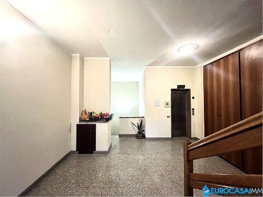 immagine annuncio 10 di 14