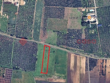 Foto Terreno agricolo in Traversa Via per Lecce snc, Manduria di 3500 m²