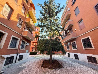 Foto Magazzino in via Alessandra Macinghi Strozzi 5, Roma Garbatella