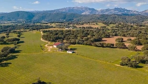 Foto Casale a Berchidda di 450 m² con 4 locali in vendita