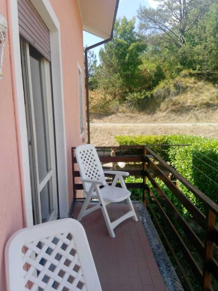 immagine annuncio 3 di 12