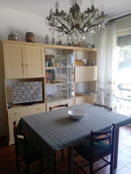 immagine annuncio 7 di 12