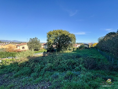 Foto Terreno edificabile a Monterosi in vendita