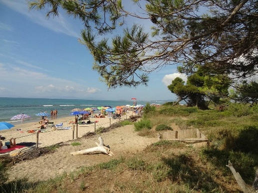 immagine annuncio 5 di 7