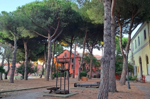 immagine annuncio 5 di 7