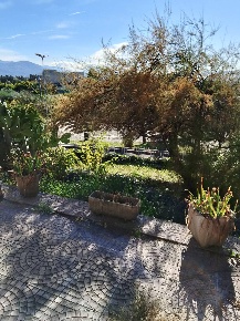 Foto Villa singola in VIA OGLIO, Guidonia Montecelio Centro di 360 m²