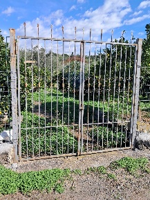 Foto Terreno agricolo in Pietralunga, Paternò di 22000 m² in vendita
