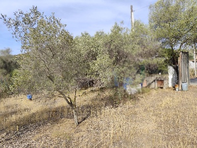 Foto Terreno residenziale in Località Su Tremini, Monserrato di 864 m²