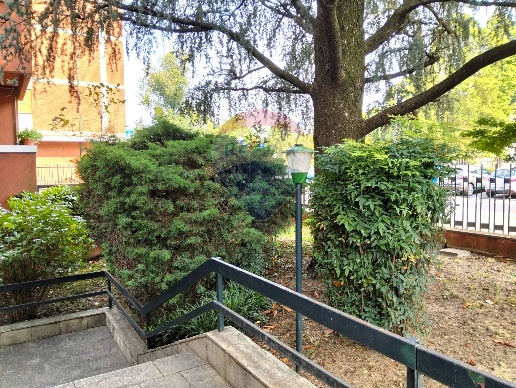 immagine annuncio 5 di 11