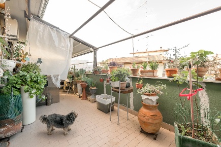 Foto Appartamento in Via Monghio, Monterotondo Zona Stadio, La Fonte