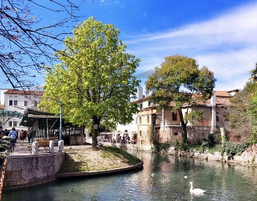 Foto Appartamento in piazza matteotti, Treviso di 90 m² con 4 locali