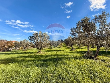 Foto Terreno residenziale in Via Fonte dell'Abbazia, Montesilvano Verrotti