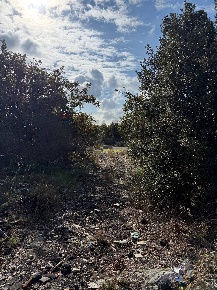 Foto Terreno agricolo in Contrada Difesa, Belpasso di 28000 m² in vendita