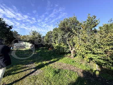 Foto Terreno agricolo in Orazio Traversa Vallone, Centro di 1500 m²