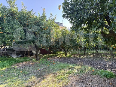 Foto Terreno agricolo in Orazio Traversa Vallone, Centro di 1500 m²