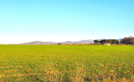 Foto Terreno industriale a Tarquinia Borgata Aurelia in vendita