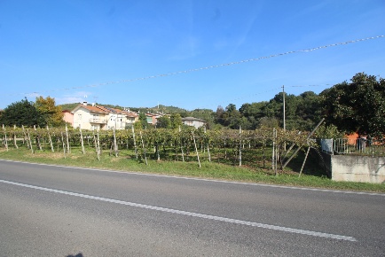 Foto Terreno edificabile in Via Calderina 8, Gambellara Calderina