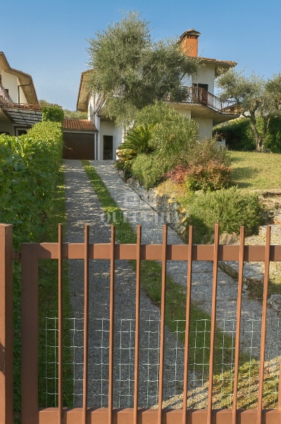 immagine annuncio 3 di 14