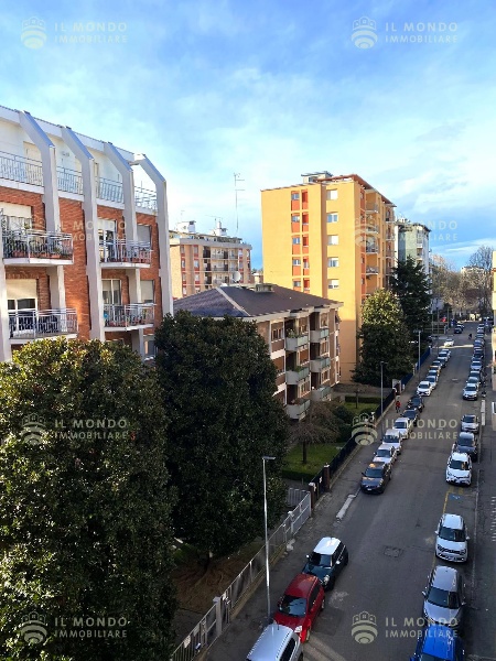 immagine annuncio 11 di 14