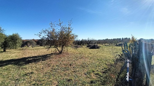 Foto Terreno agricolo in Via San Giuseppe 5, Vasanello di 5000 m²
