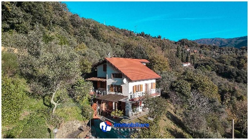 Foto Villa unifamiliare a Sarzana Olmo, Santa Caterina, Falcinello