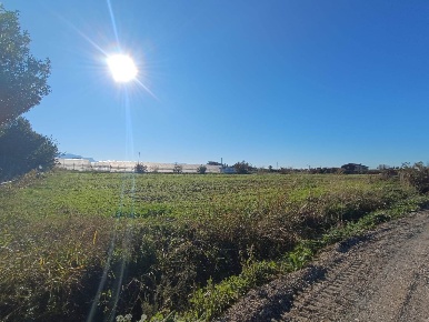 Foto Terreno agricolo a Battipaglia di 8000 m² in vendita