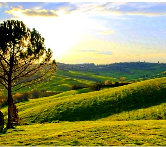 Foto Villa unifamiliare a Montespertoli di 400 m² con 15 locali in vendita