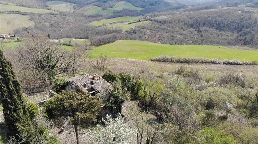 Foto Rustico a Radicofani di 350 m² con 10 locali in vendita