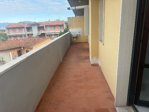 immagine annuncio 6 di 14