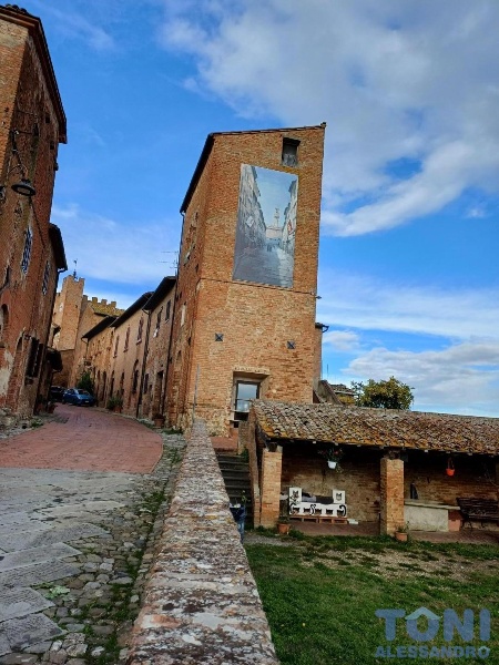 immagine annuncio 11 di 13