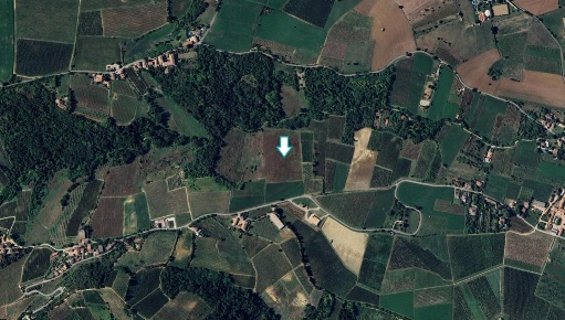 Foto Terreno agricolo a Codevilla di 63140 m² in vendita