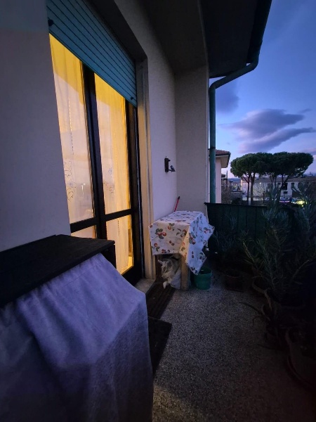 immagine annuncio 12 di 14