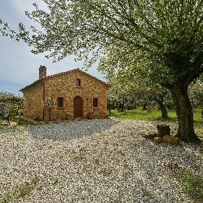 Foto Casa indipendente a Palaia Forcoli di 230 m² con 8 locali in vendita