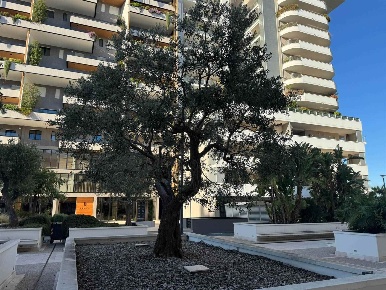 Foto Appartamento a Bari Poggiofranco di 220 m² con 5 locali in vendita