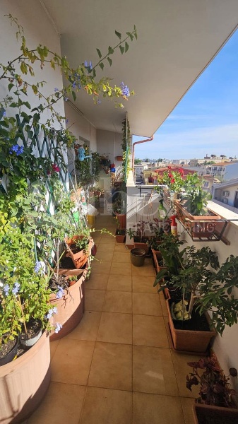 immagine annuncio 8 di 12