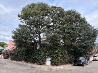 Foto Villa unifamiliare in Via Ancona, Brindisi Casale - Materdomini