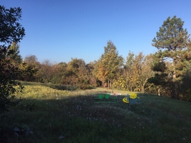 Foto Terreno agricolo in loc. Bezzo Bellini, Medesano di 2591 m² in vendita