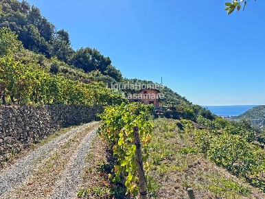 Foto Villa singola in Località Fuberta, Vallebona di 124 m² con 6 locali