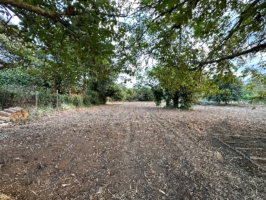 Foto Terreno agricolo in via San Fantino, Borgia di 3000 m² in vendita