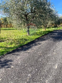 Foto Terreno agricolo a Tollo Centro di 1290 m² in vendita