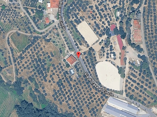 immagine annuncio 1 di 15