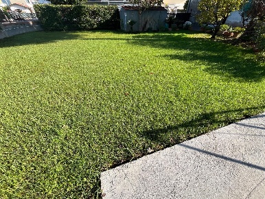 Foto Casa indipendente a Massa Marina di Massa Centro di 100 m² in vendita